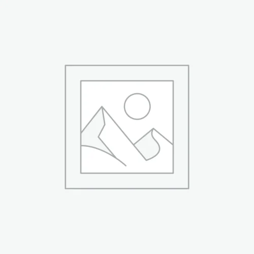 Gratuit — 5 conversions/mois
